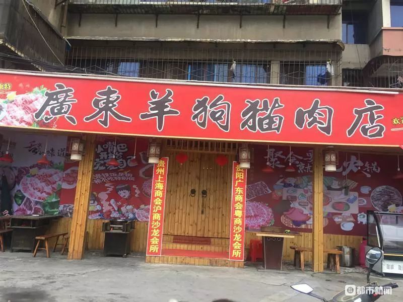 连猫肉也拿来卖 市民质疑贵阳这家火锅店合法性 店家这么回复 腾讯新闻