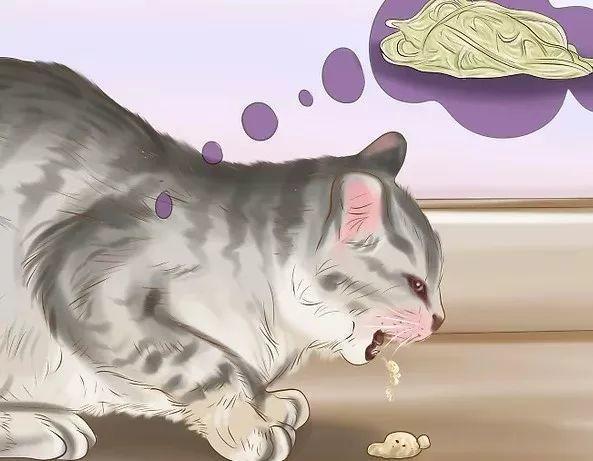 如何判断猫咪是否该驱虫了?