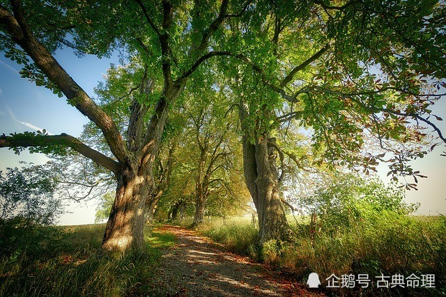 五行学说中木克土的原因 你知道么 腾讯新闻