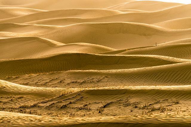 中国八大沙漠排行榜,塔克拉玛干沙漠排名