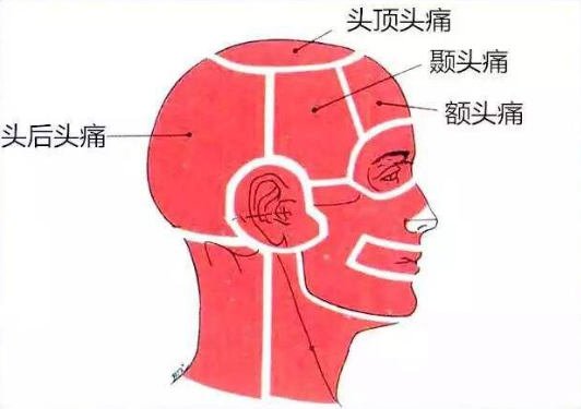 原因 偏 頭痛 偏頭痛（片頭痛）の原因と症状と治し方。その予防と対策ついても教えます。│美容男子