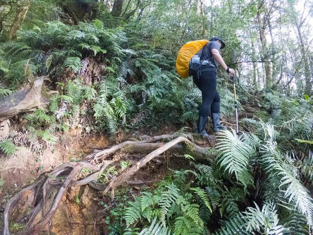 爬山前需要做哪些准备 户外装备 登山技巧 行前需要了解的知识 腾讯新闻
