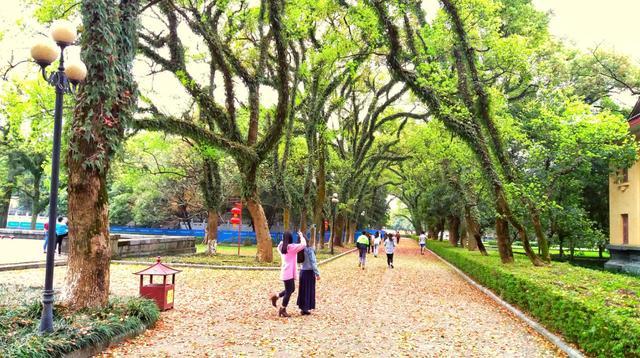 雖然廣西師大位於山水秀麗的桂林市,風景秀美.