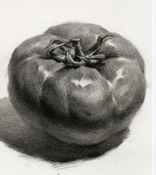 基础素描:西红柿——明暗素描