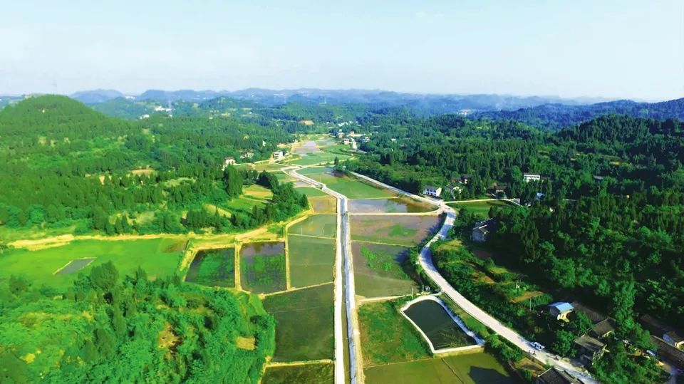 明年,阆中石龙,水观,千佛,桥楼将启动一项大工程!