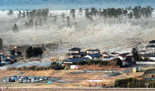 海嘯來臨時為什麼船不可以回港靠岸反而要拼命衝向海嘯