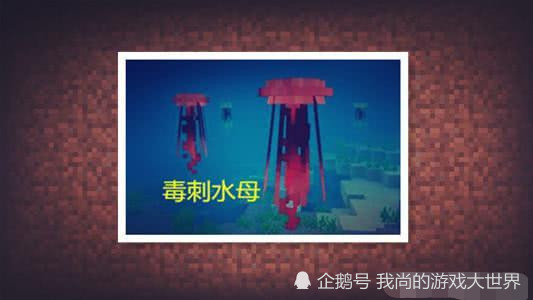 我的世界 这四种生物分别加入这些生物群系可以吗 玩家 很期待 腾讯新闻