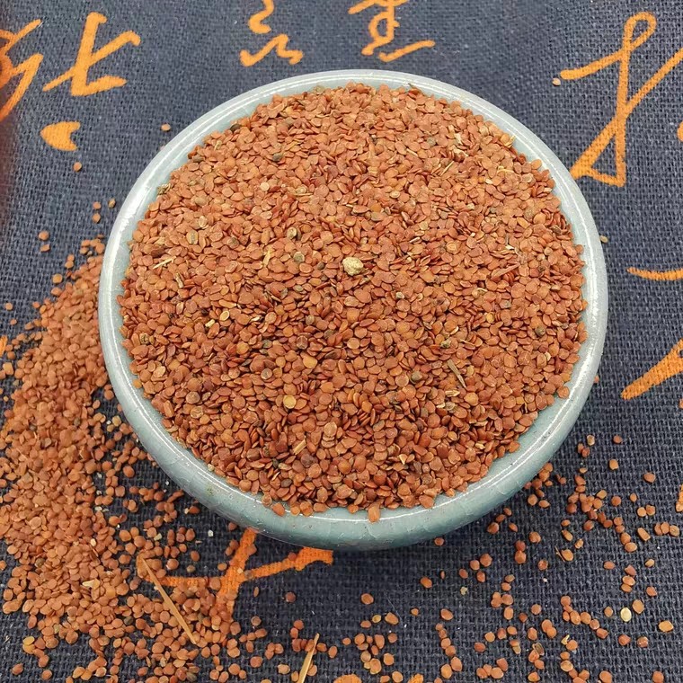 每日学习一味中草药天仙子