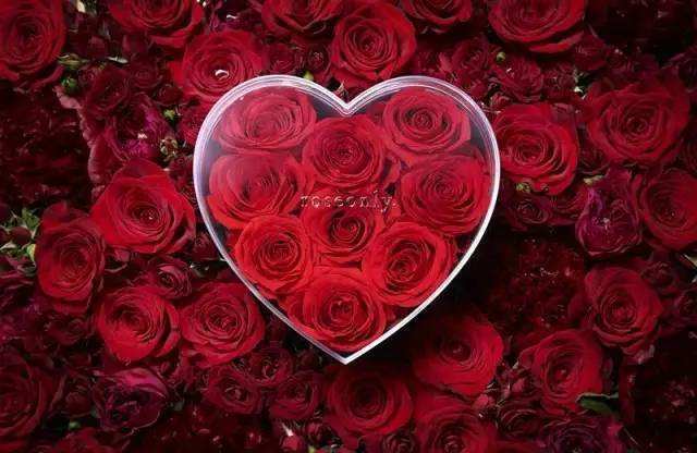 古代不仅有四大美人,还有四大丑女,而这四大丑女是孟光,钟无艳,阮氏女