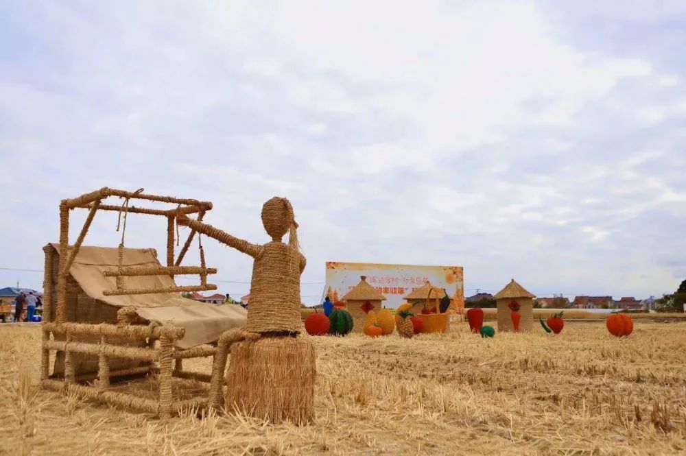 稻田门头稻田记忆.