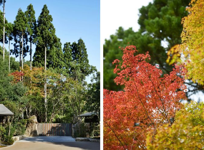 等了17年 安缦京都终于开业了 腾讯新闻