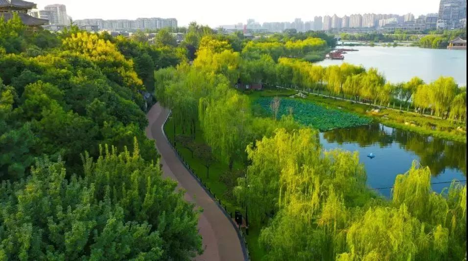 初冬去哪玩西安這個公園等你來最新玩法看這裡