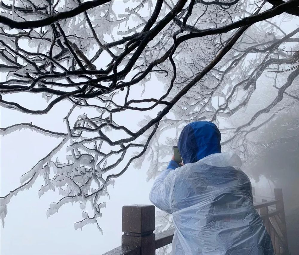 张家界进入了冰雪世界 腾讯新闻