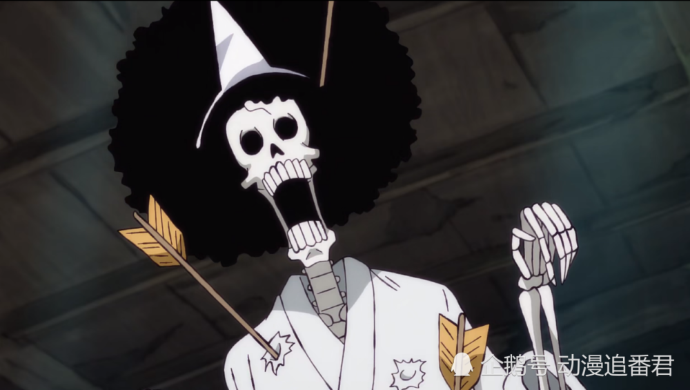 海贼王:草帽团全员换职业,秘密行动即将开始