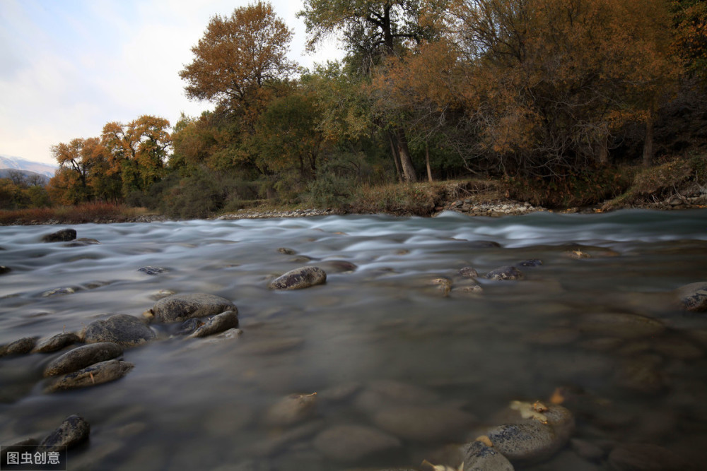 狗狗饮水也很重要。从喝什么水到喝多少水,狗