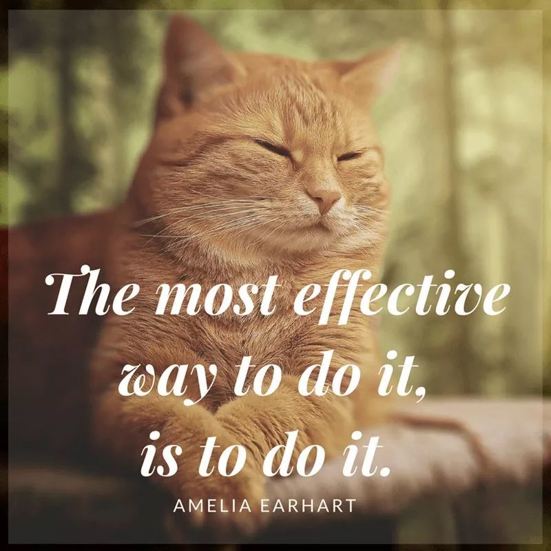 15句励志英语句子总有一句激励着你