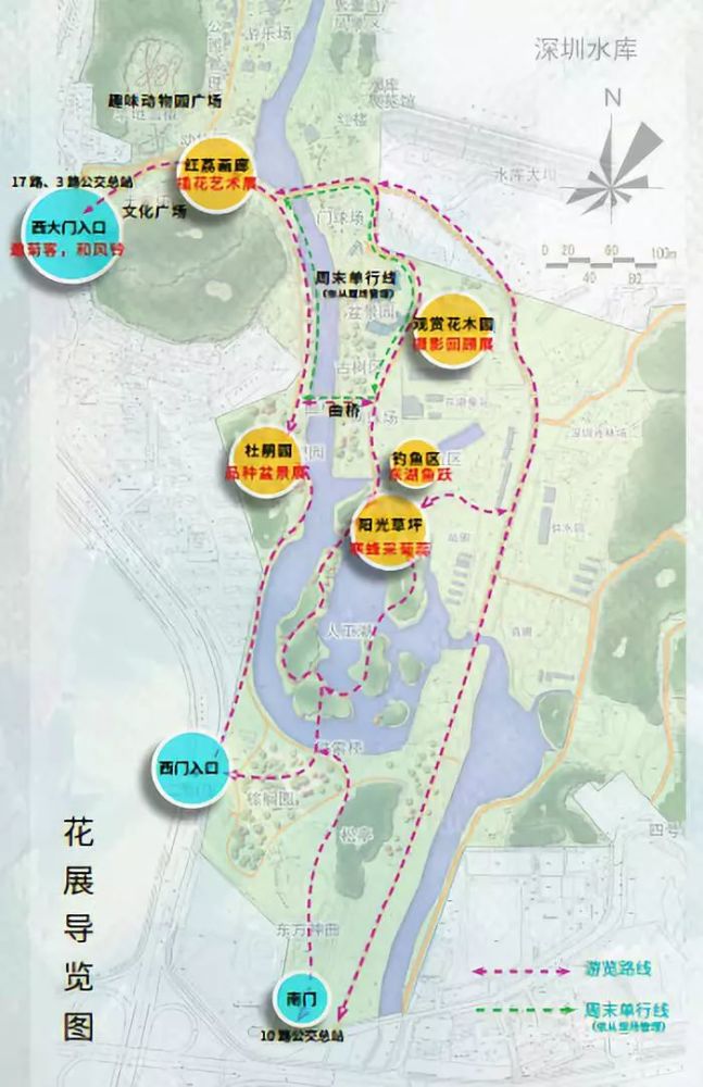 东湖公园66万盆菊花盛开一起来按图寻花