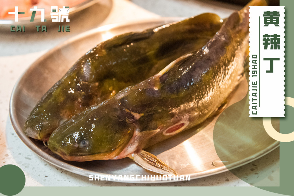 原来躲在彩电塔!