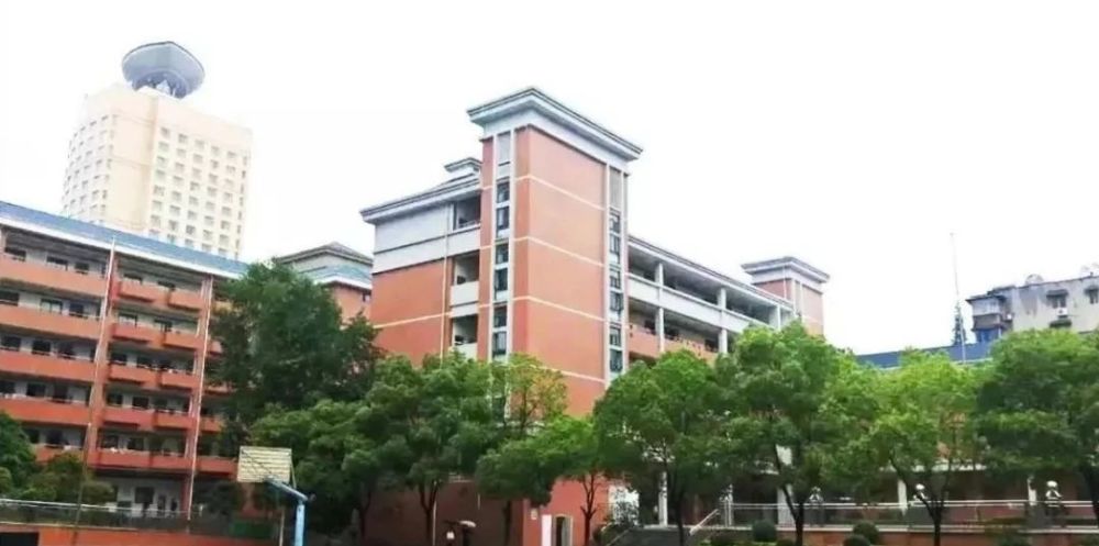 武汉初中学校排名%_2020小升初择校参考:武汉各区初中学校往年中考成绩(2)