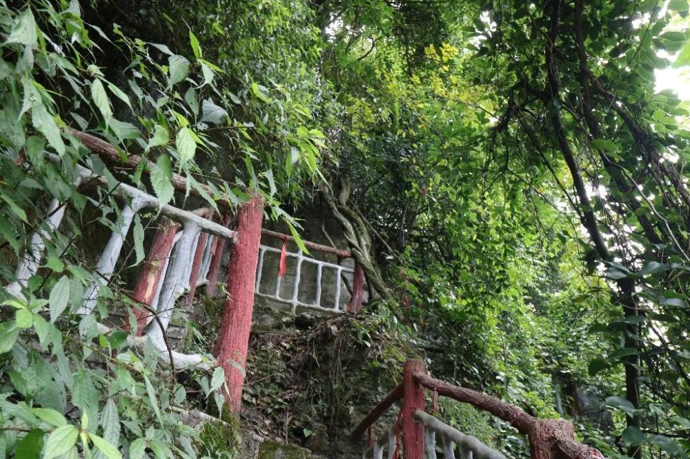 喜报!黔江水车坪景区获批国家aaaa级旅游景区