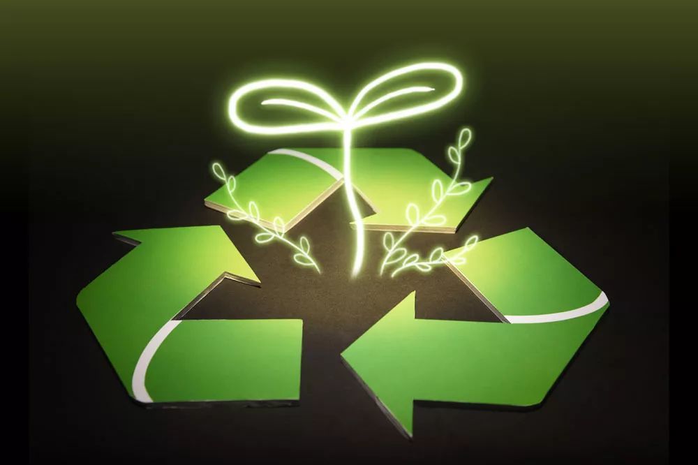 upcycling被评为2019年年度词汇