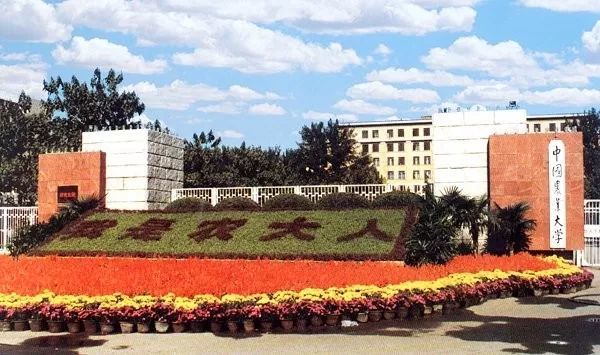 中国农业大学2019年(黑龙江省招生)分批次分专业录取情况