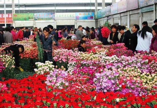 中國九大花卉批發市場,一年四季花飄香,年年歲歲花不同哦