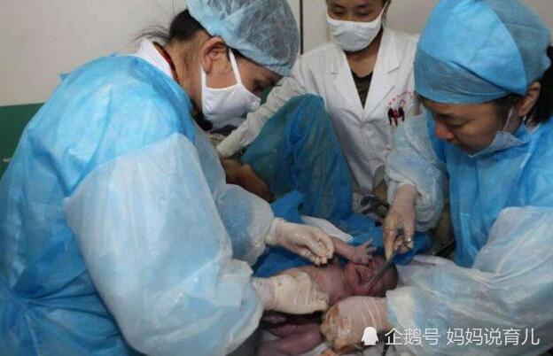 宝宝胎盘成补品,有人花高价求购,生完宝宝后胎盘怎么处理?