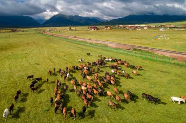 霍去病创始,就在甘肃|霍去病|山丹军马场|甘肃|山丹县|草原|张掖地区