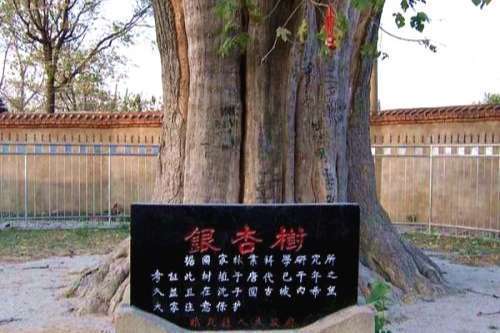 阜阳人口最多的县_阜阳:4个县常住人口超百万(2)