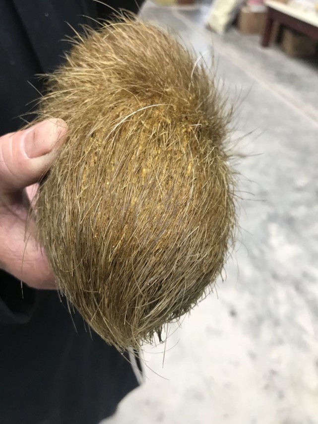 大千世界无奇不有 湖北利川一村民杀年猪发现传说中的猪辰砂