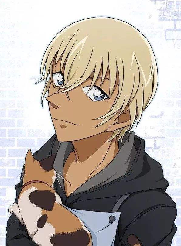 而安室透作为警界的高材生,刚从警校毕业后不久就被派去当卧底,到现在