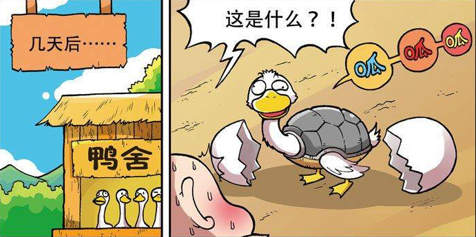 呆头农场 呆头捡回来一个海龟蛋让鸭妈妈孵 孵出来个 龟壳鸭头怪物 腾讯新闻