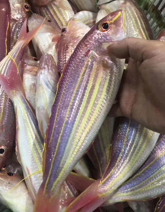 家庭吃鱼就买这5种鱼懂行的人都明白