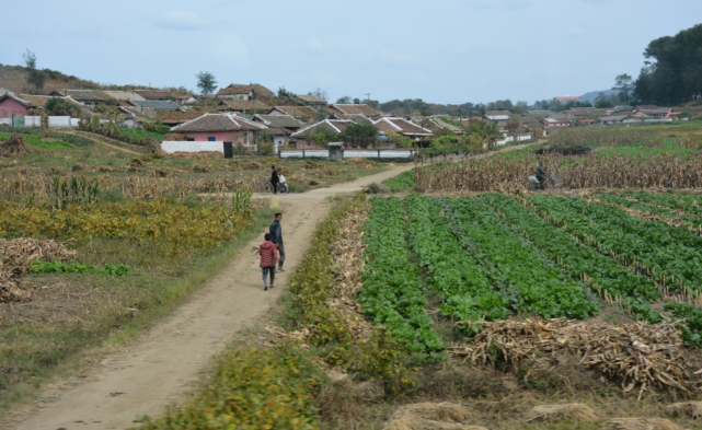 朝鲜图集镜头下朝鲜农村百姓的生活现状