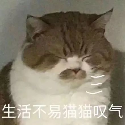 又双叒卡猫 花元测评自动猫砂盆到底安不安全 腾讯新闻