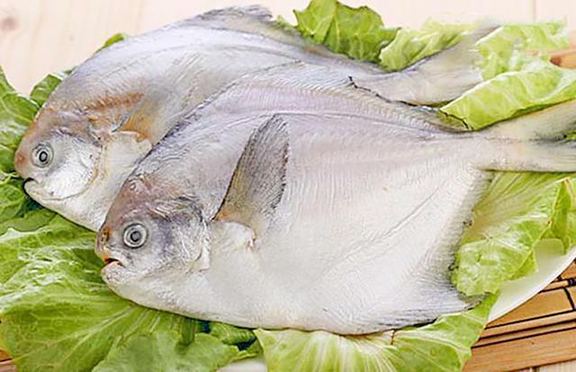 买鱼时如何选择 鱼铺老板 懂行人都选这5种海鱼 便宜又好吃 腾讯新闻