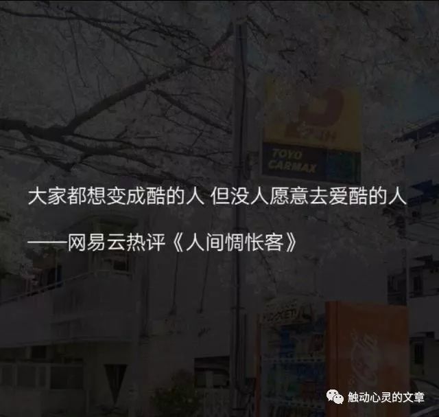 扎心網易雲熱評句生活就是爛透壞透沒得救