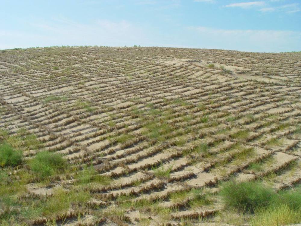 中国将草方格升级,彻底解决沙漠荒漠化,成为世界治沙史上的奇迹