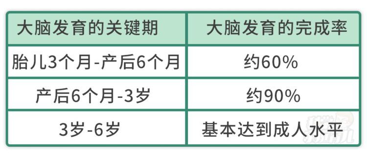 孩子多数用右脑思考问题,且70%的大脑重量和结构发育在胎儿期和婴儿期