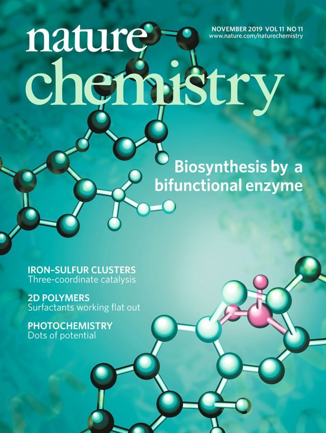 48张冠名“自然”的期刊封面来啦！你最喜欢哪一张呢？_腾讯新闻