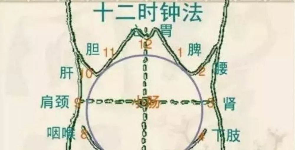 腹部是脏腑所居之地一切慢性病试着从艾灸腹部开始