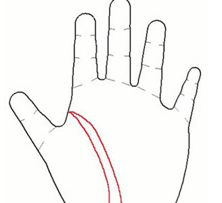 手相生命线:纹路越短寿命越短?