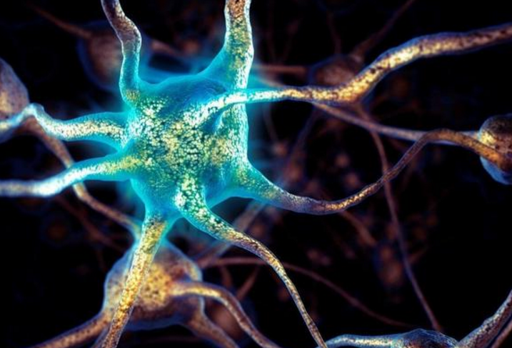 即将死去的人为何会回光返照?科学家发现人死前极度兴奋