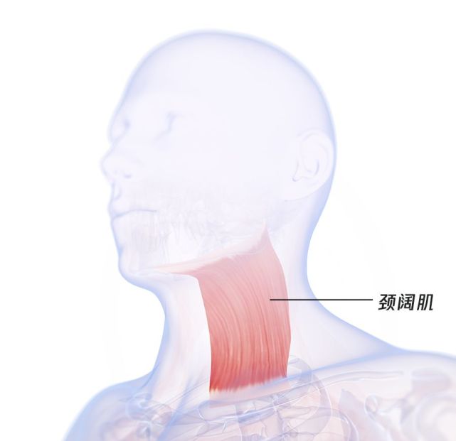 下巴上的赘肉,可能跟你经常做这件事有关,想解决,试试4个办法