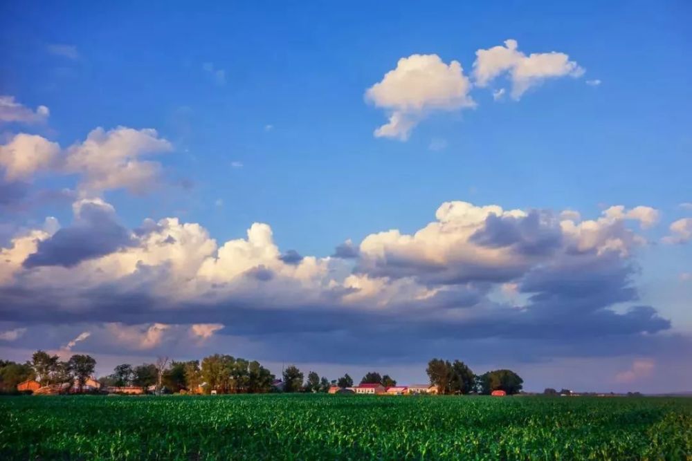 5G时代下的农业未来会如何?