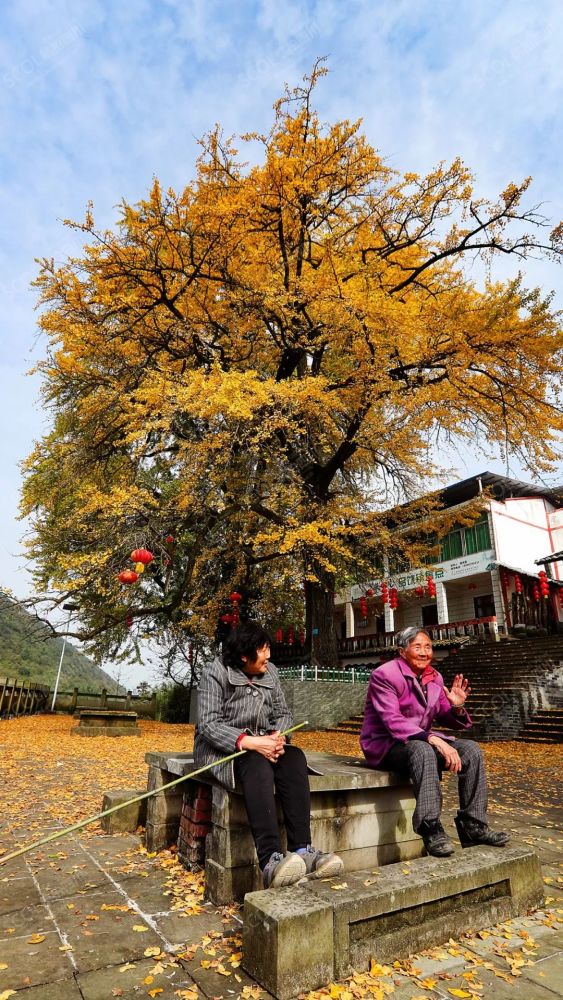 茶园村四川省广安市华蓥市红岩乡来源:智游华蓥