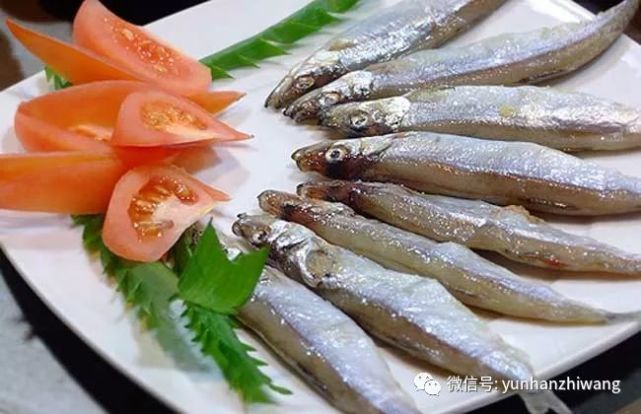 黄花鱼种类图片大全