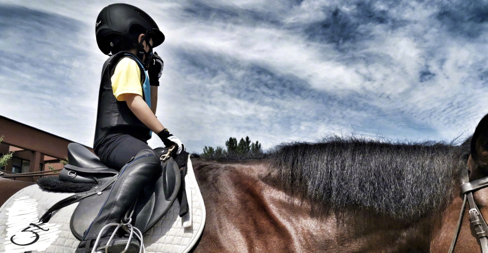 2020年浙江卫视片单公布!张一山首次上榜,靳东却意外被"红笔"点名