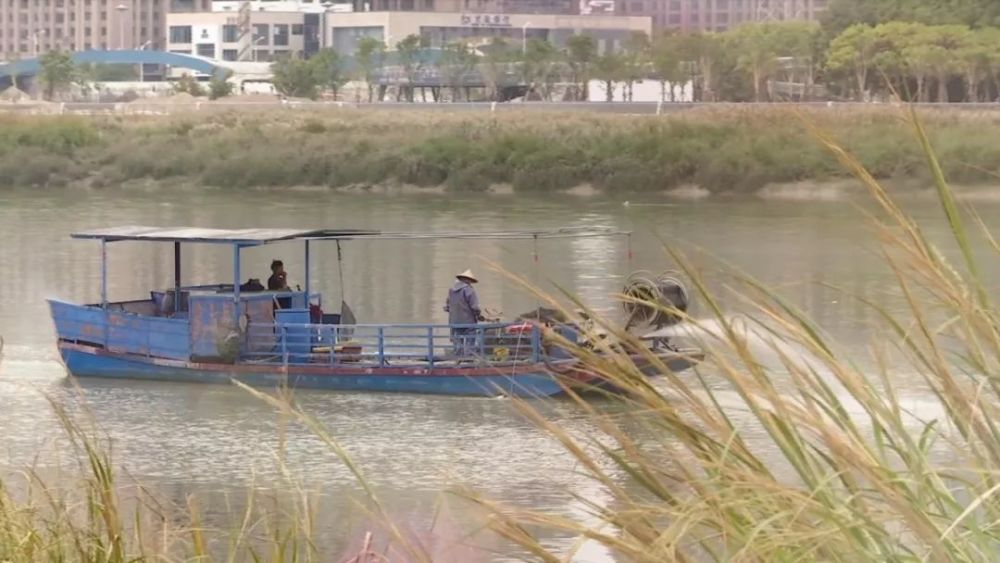 编制工艺讲述着溪头村沧桑巨变的故事古渡头古塔